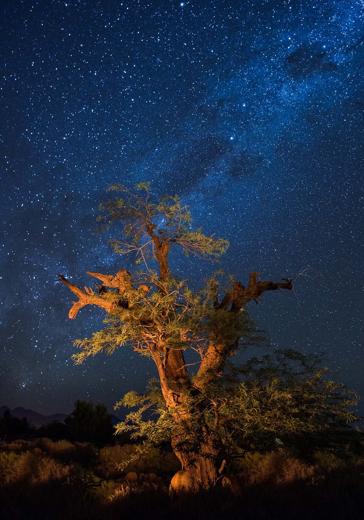 tierra-atacama-chile-familienluxusreise-thefamilyproject-stargazing