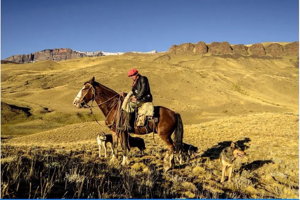 tierra patagonia guide