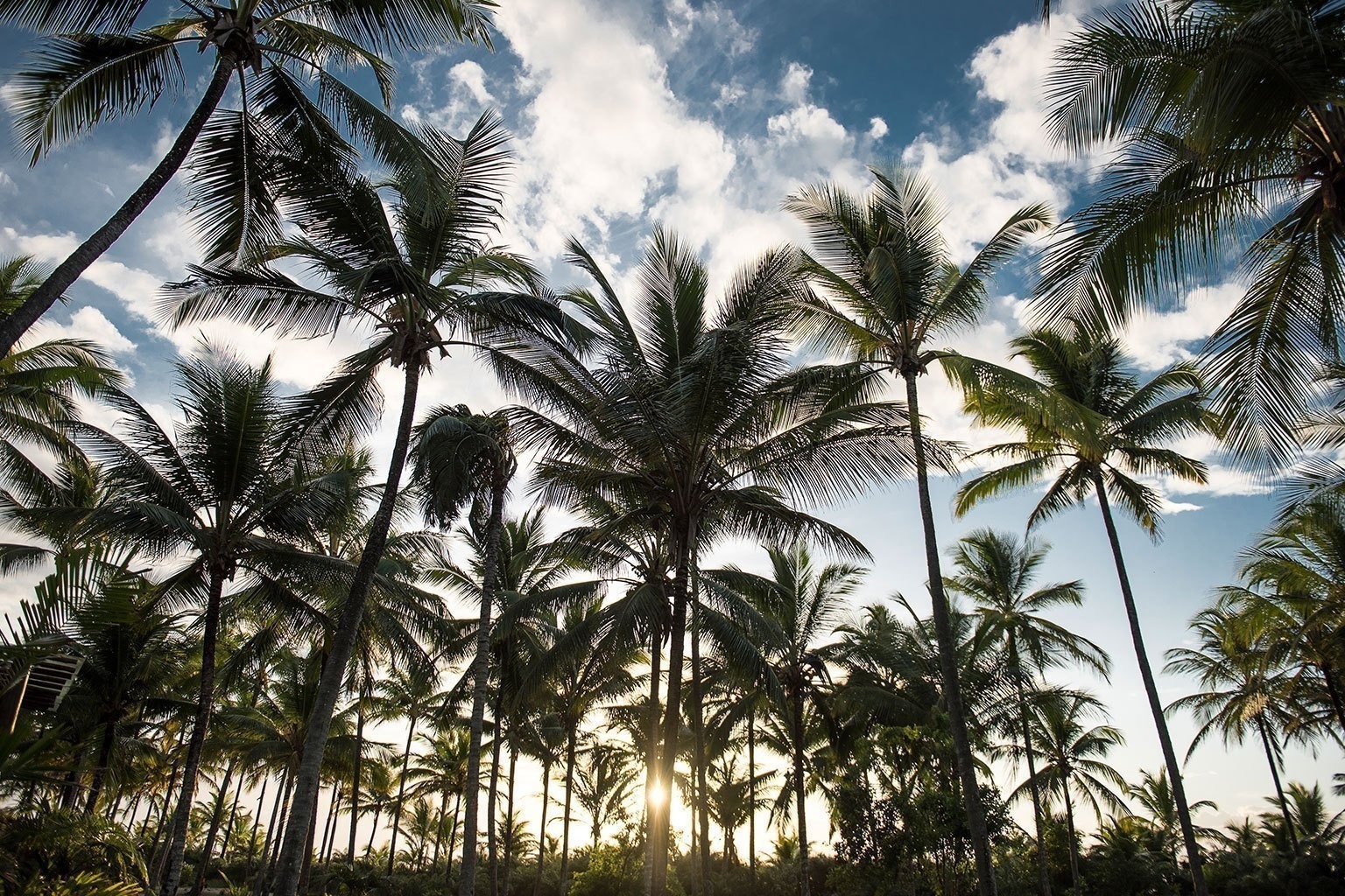 txai-resort-brasilien-familienluxusreisen-thefamilyproject-palmen-sonnenuntergang