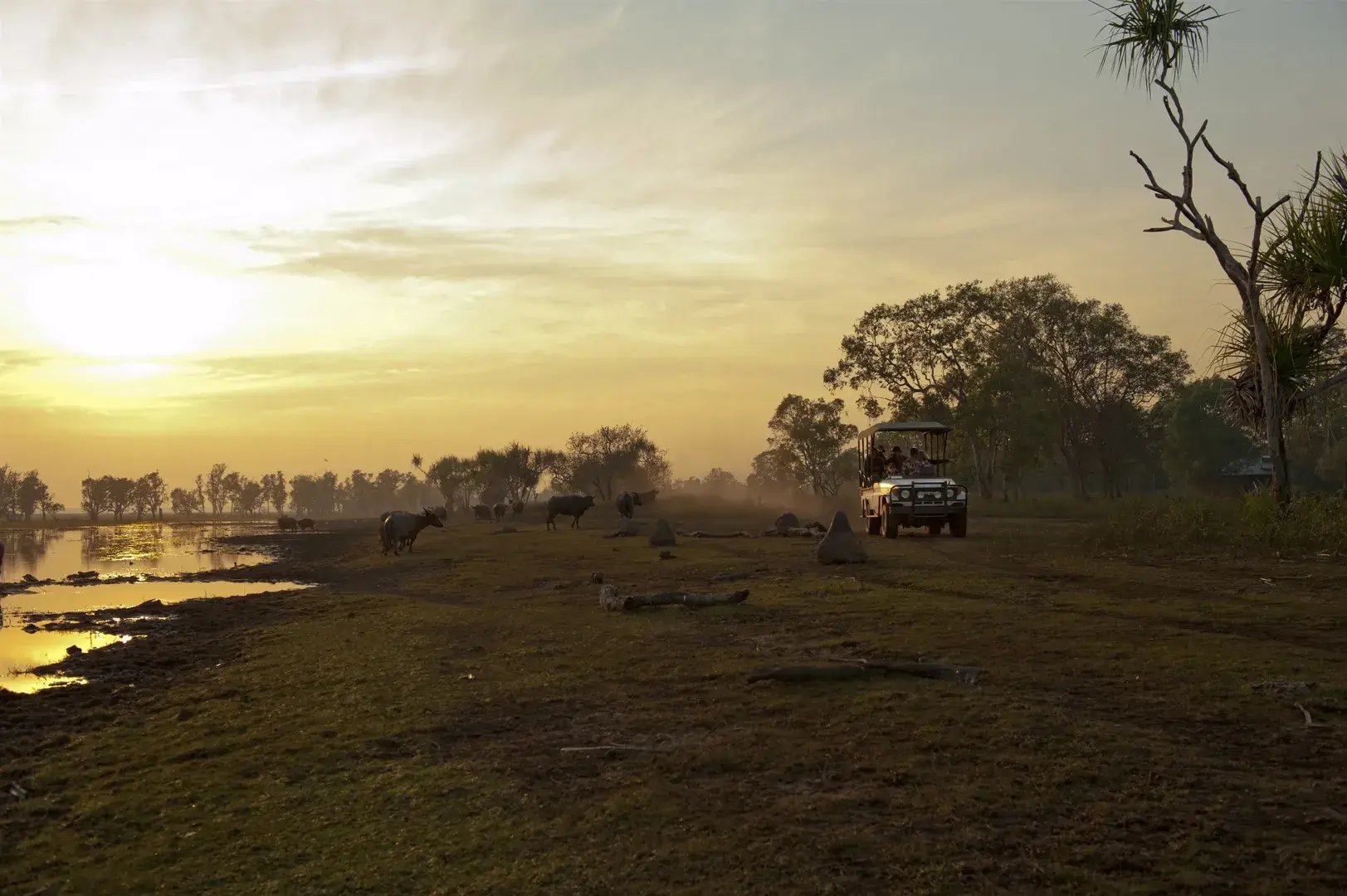 bamurru plains top end australien sudpazifik safari luxus urlaub kinder the family project