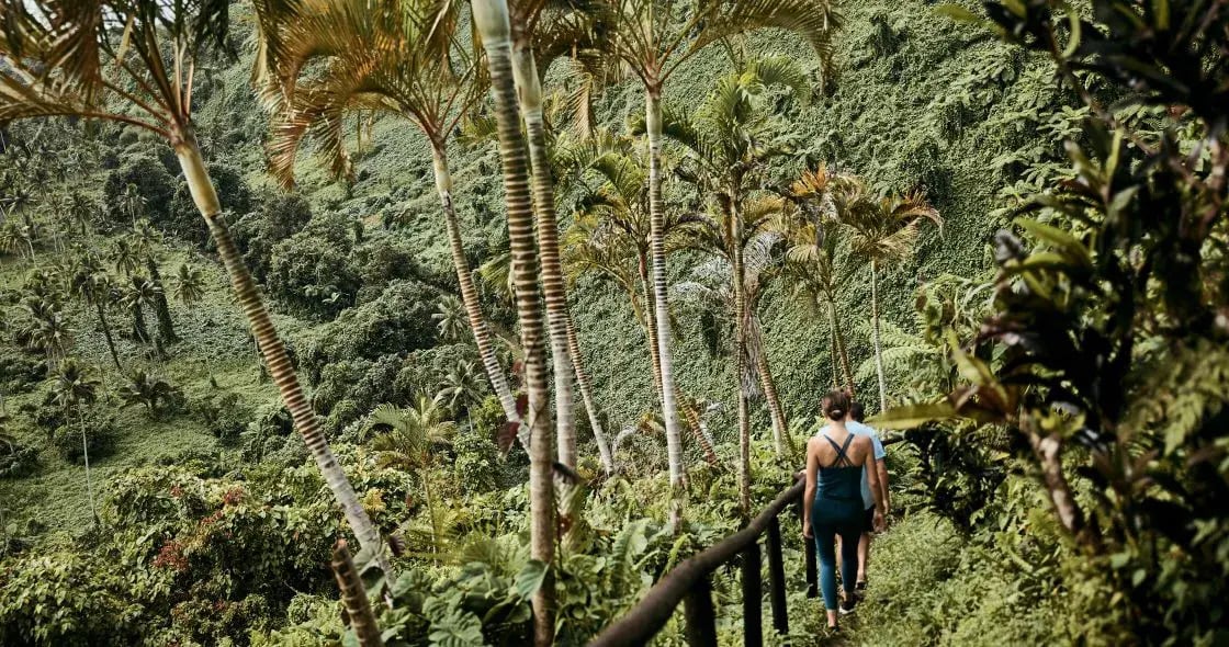como laucala island wald