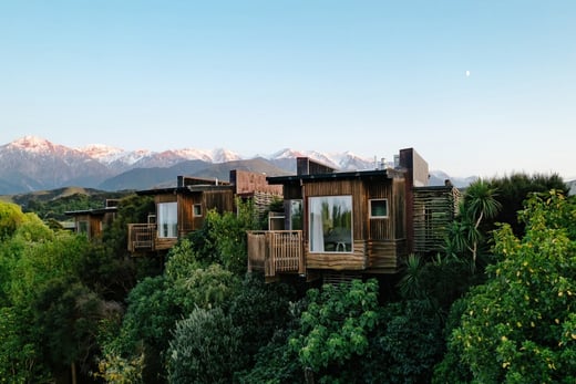 Baumhaeuser der Hapuku Lodge