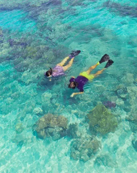 lizard island great barrier reef schnorcheln