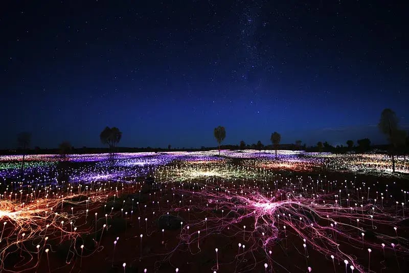 longitude131 lights
