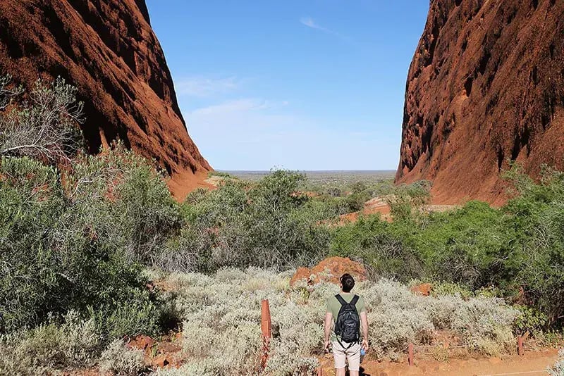 longitude131 uluruview