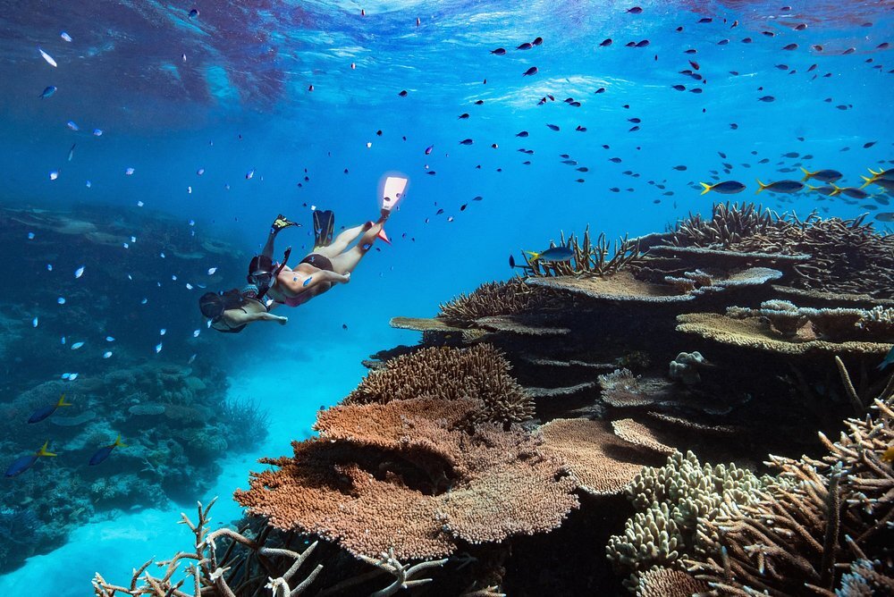 orpheus-island-lodge-australien-thefamilyproject-familienluxusreisen-snorkeling