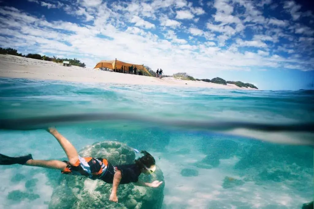 sal salis ningaloo reef schnorcheln