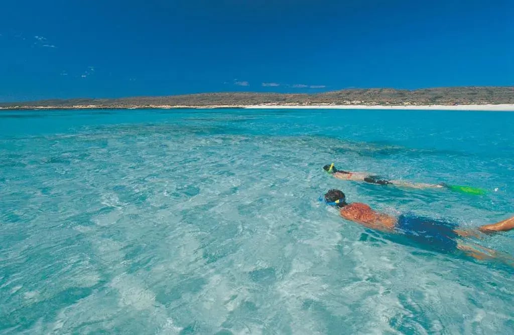 sal salis ningaloo reef schwimmen