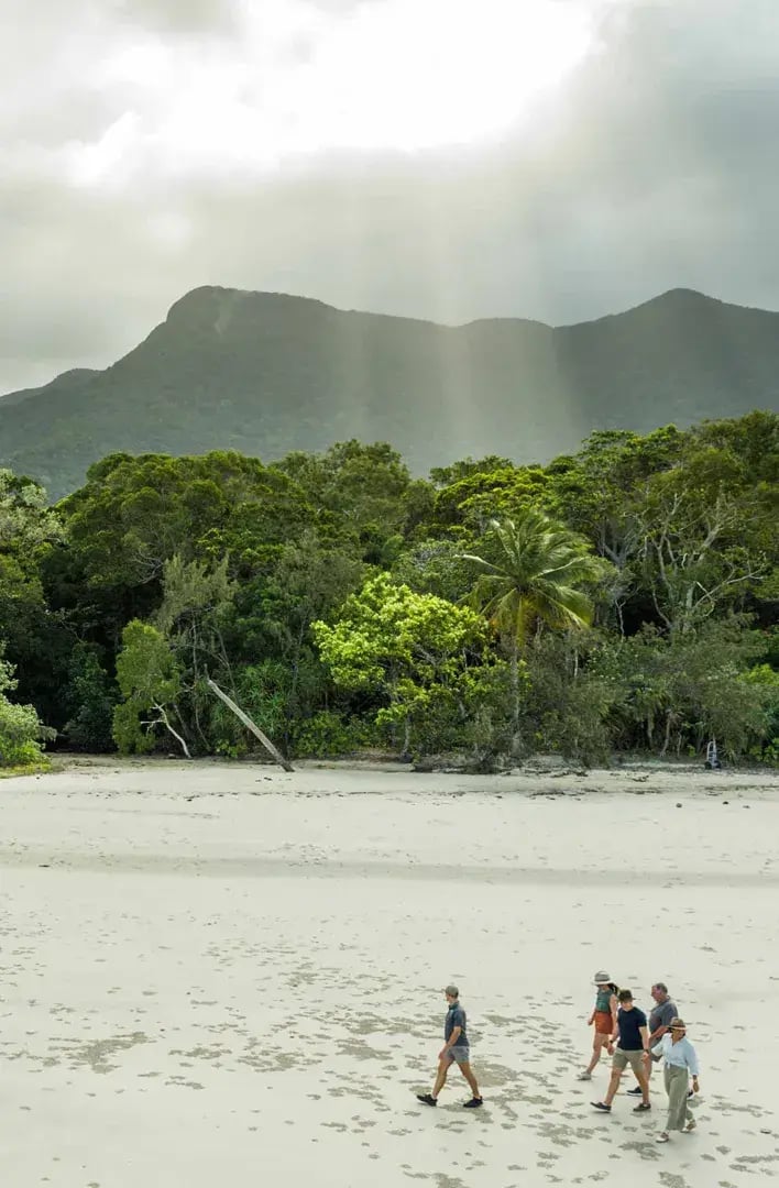 silky oaks lodge beach