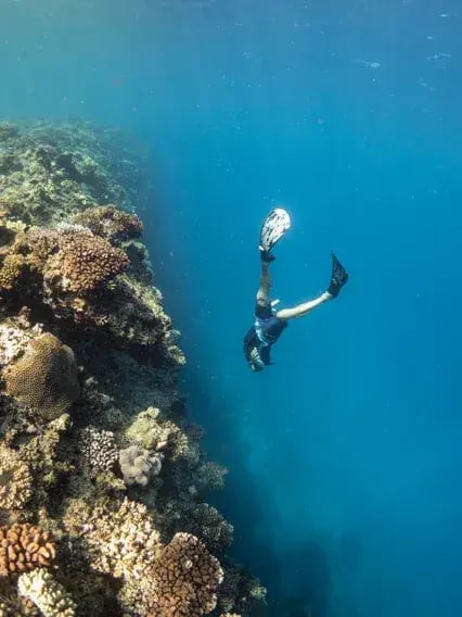 six senses fiji diving