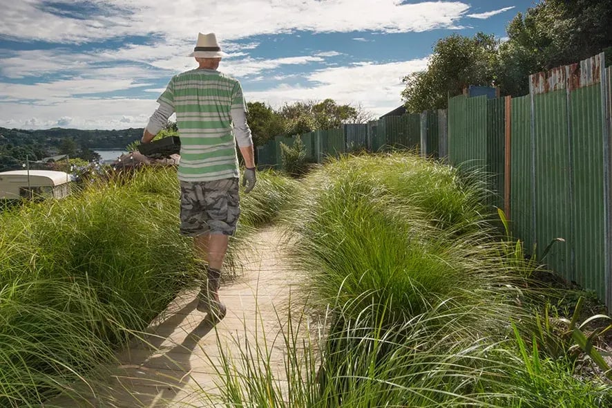 the boatshed garden allotment