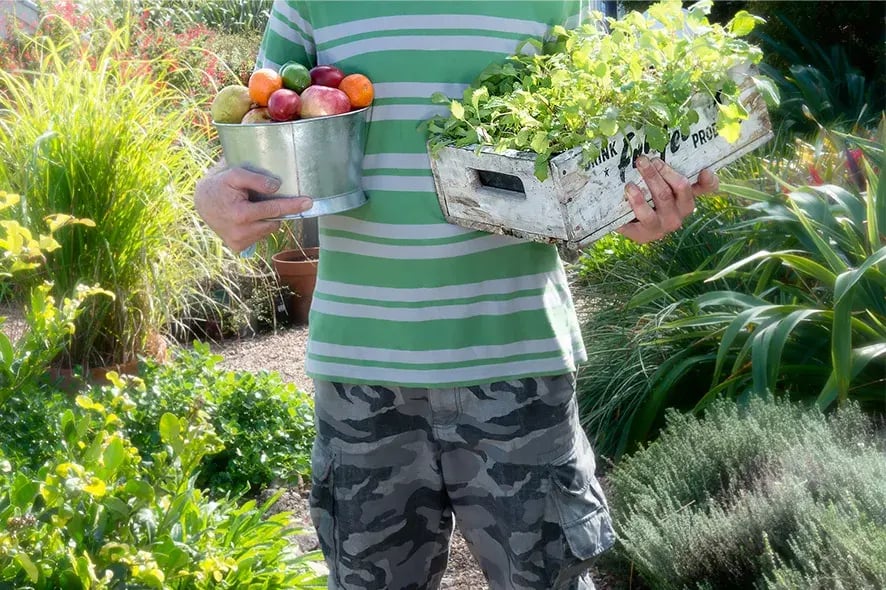 the boatshed produce