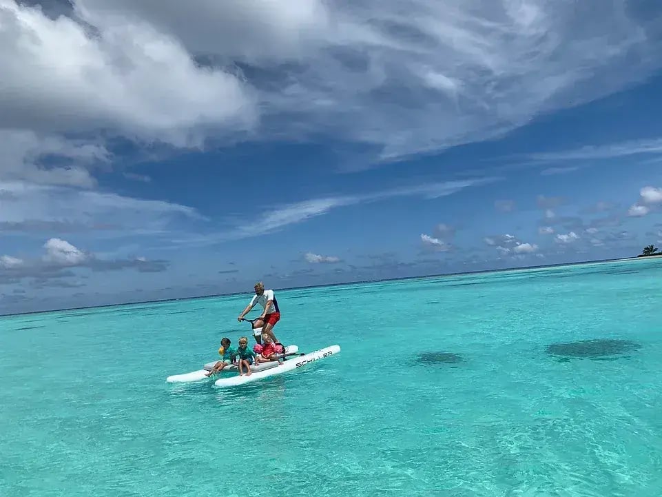 the brando meer aktivitat