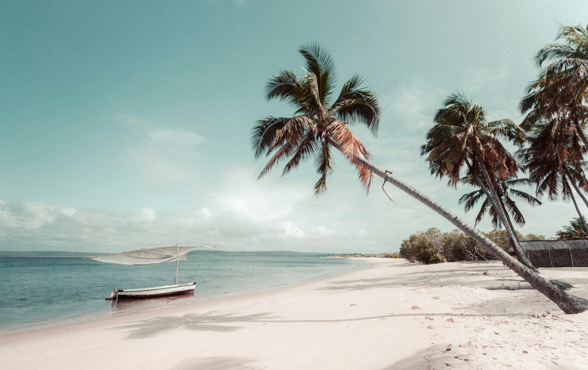 Ein Sandstrand mit Palmen