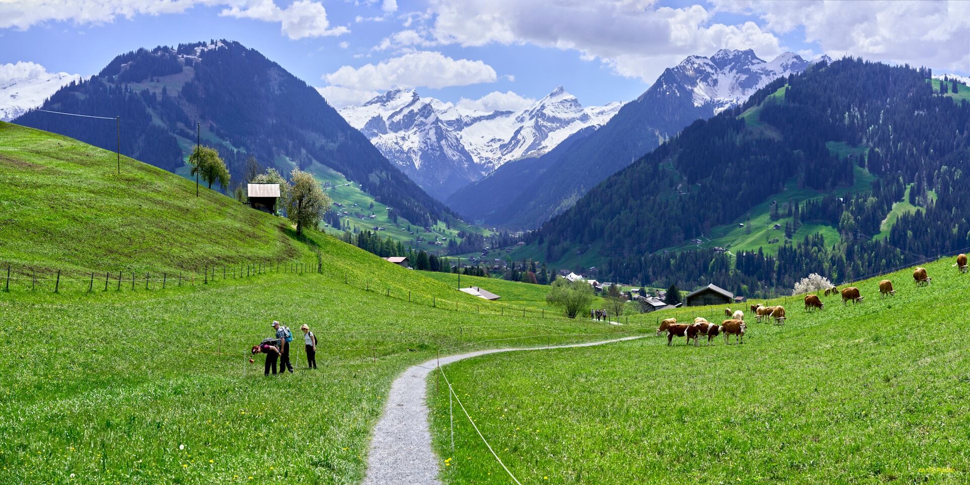 Gstaad im Sommer