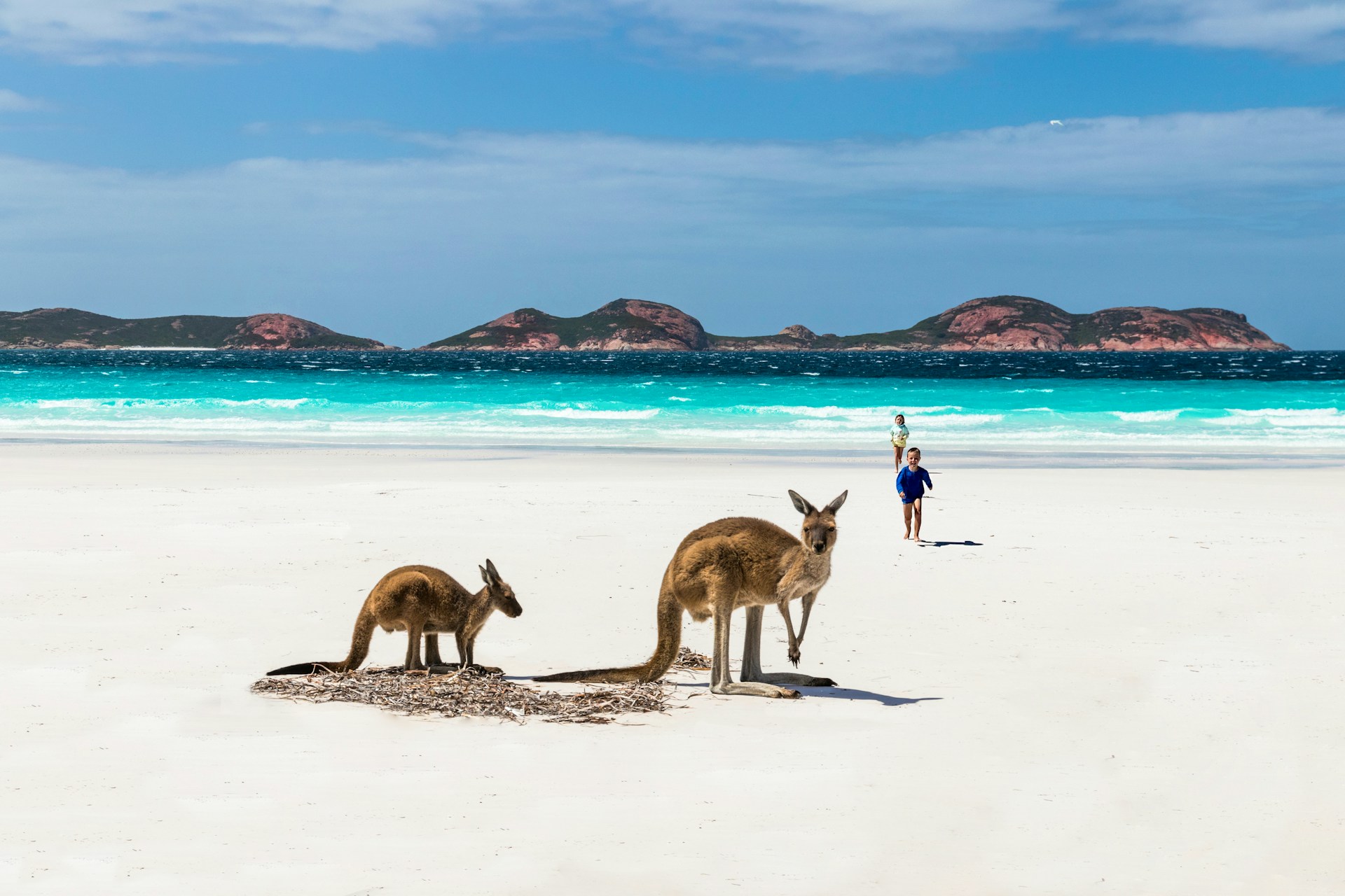 Kängurus am Strand mit Kindern