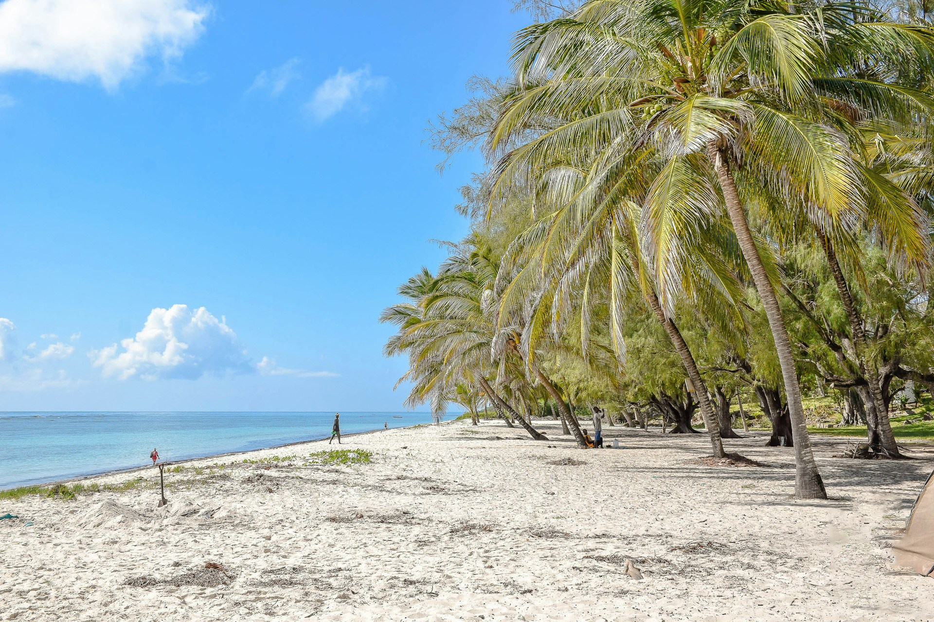 Ein Strand mit Palmen und hellblauem Wasser