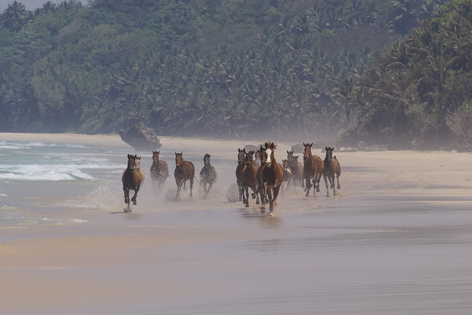 nihi_sumba_familienluxusreisen (23)