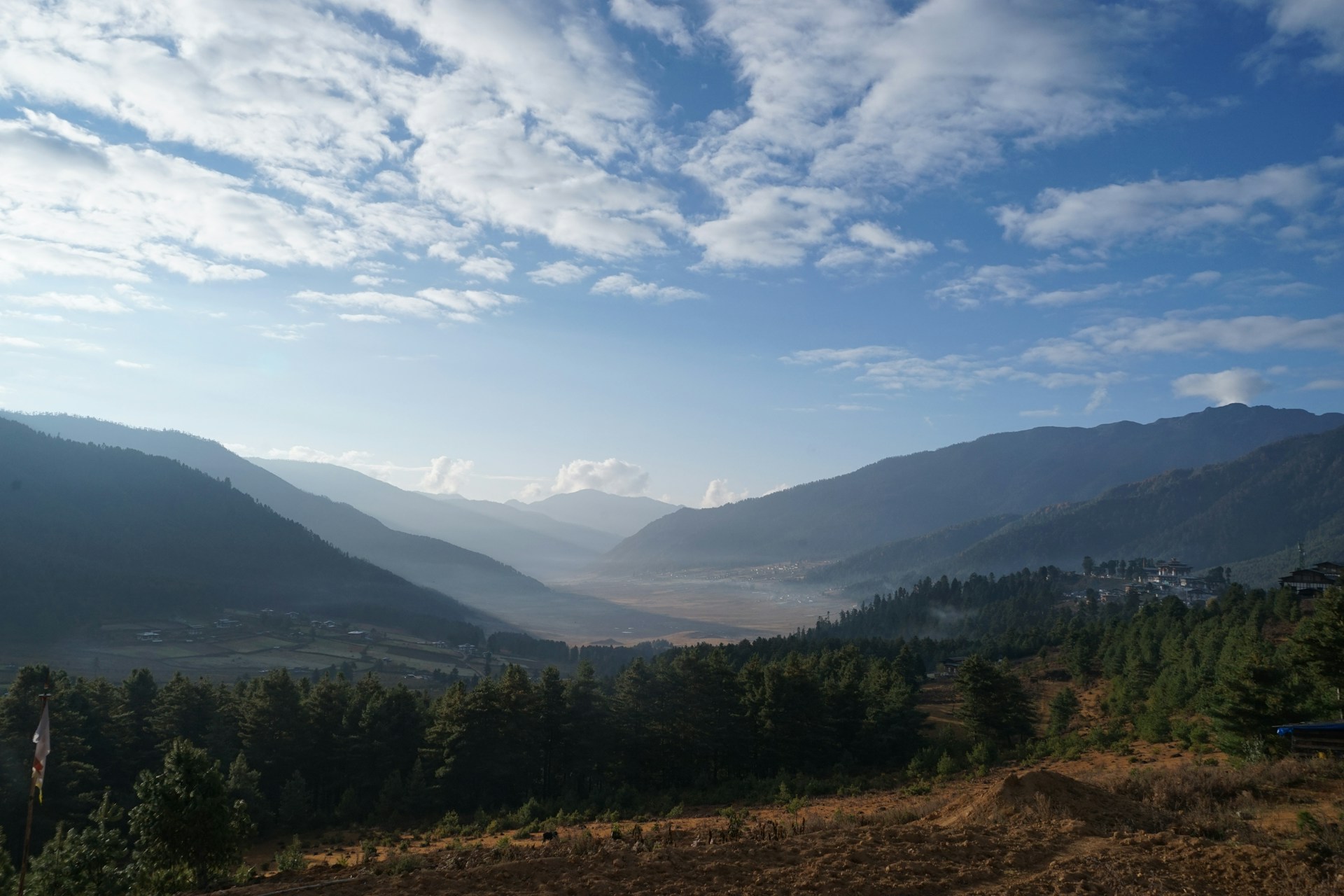 Eine schöne Waldlandschaft