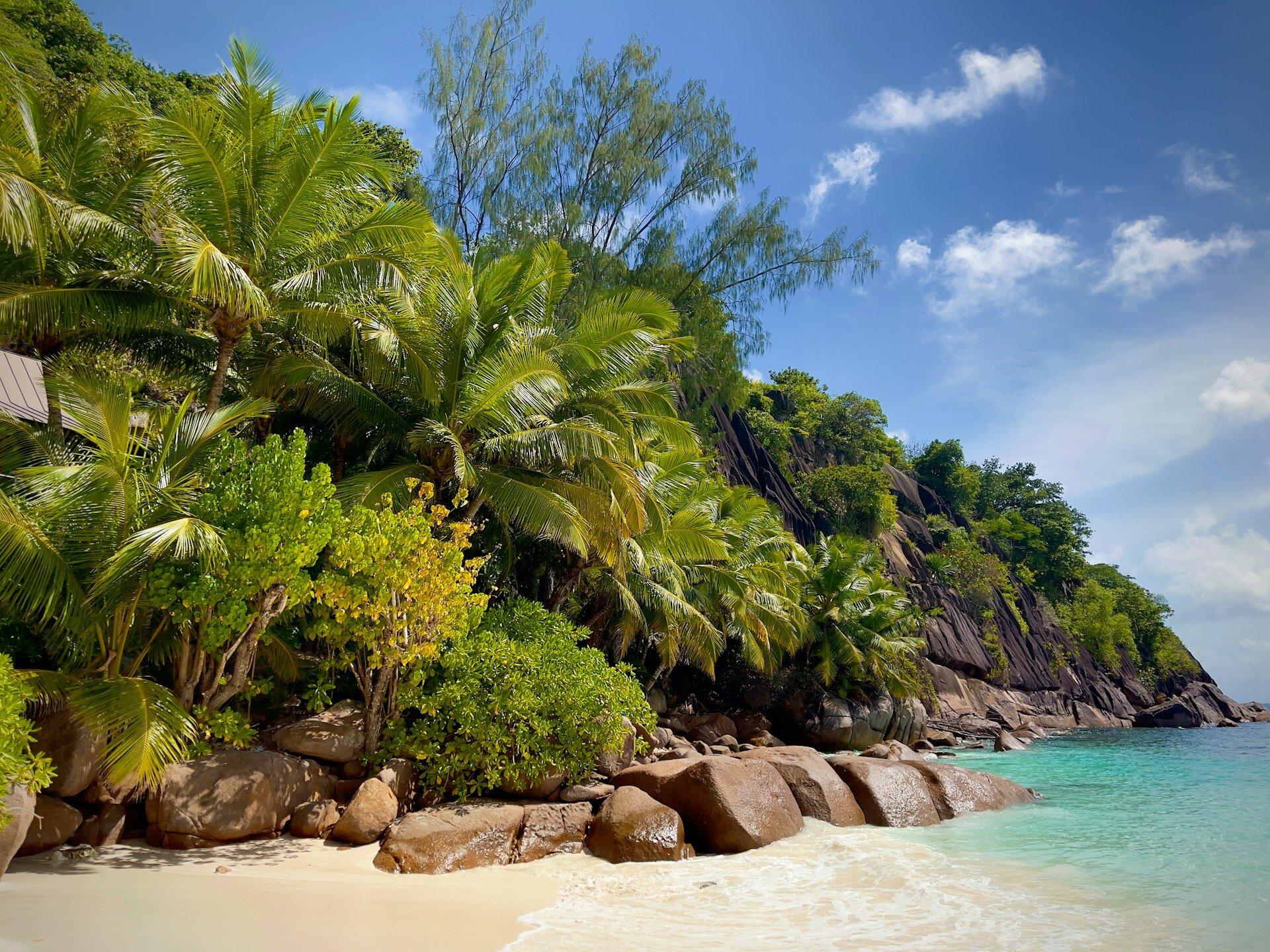 Strand mit Palmen