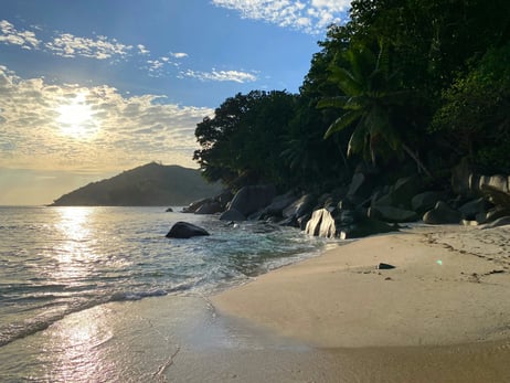 Strand auf den Seychellen