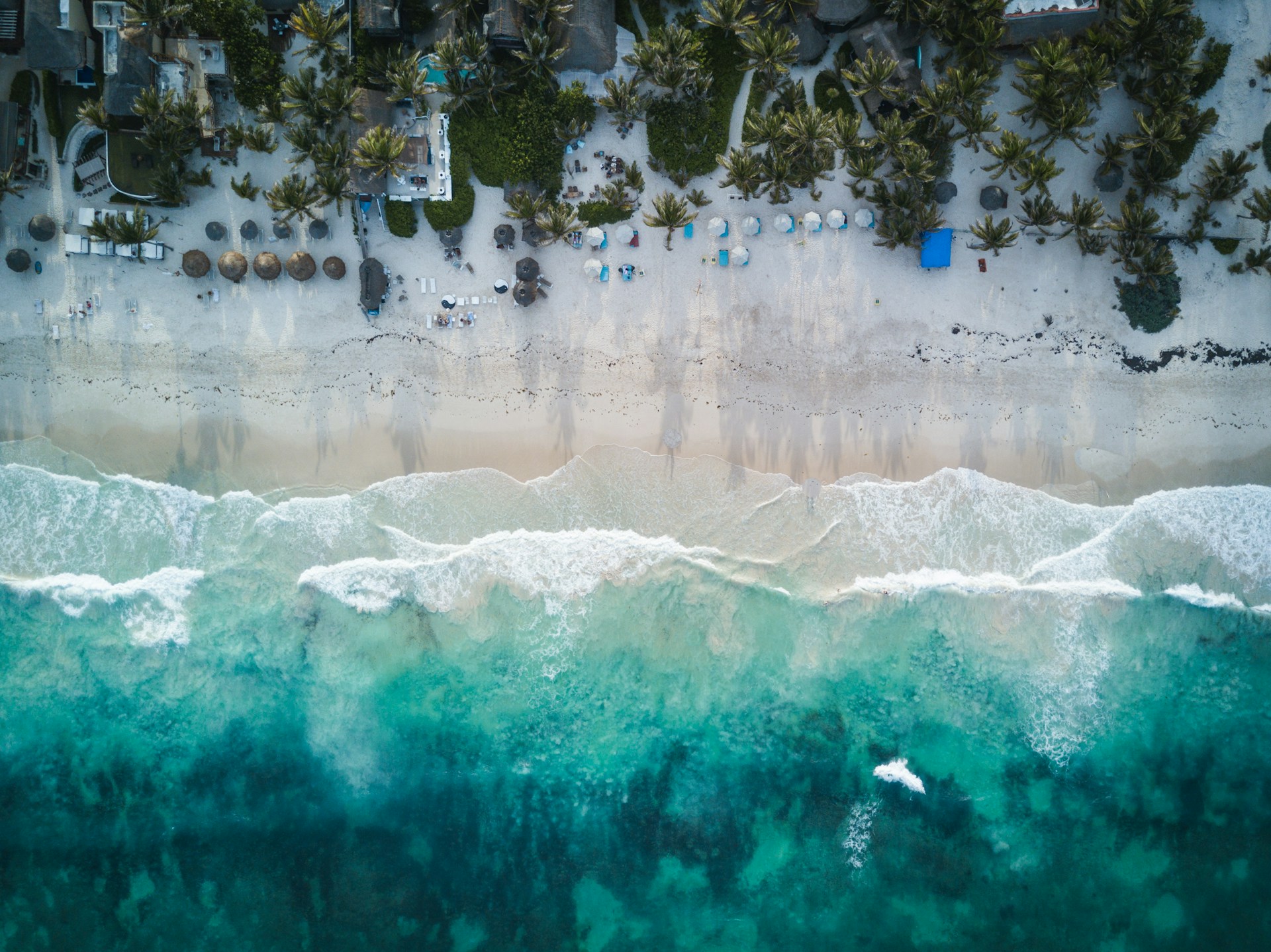 Sandstrand mit Palmen