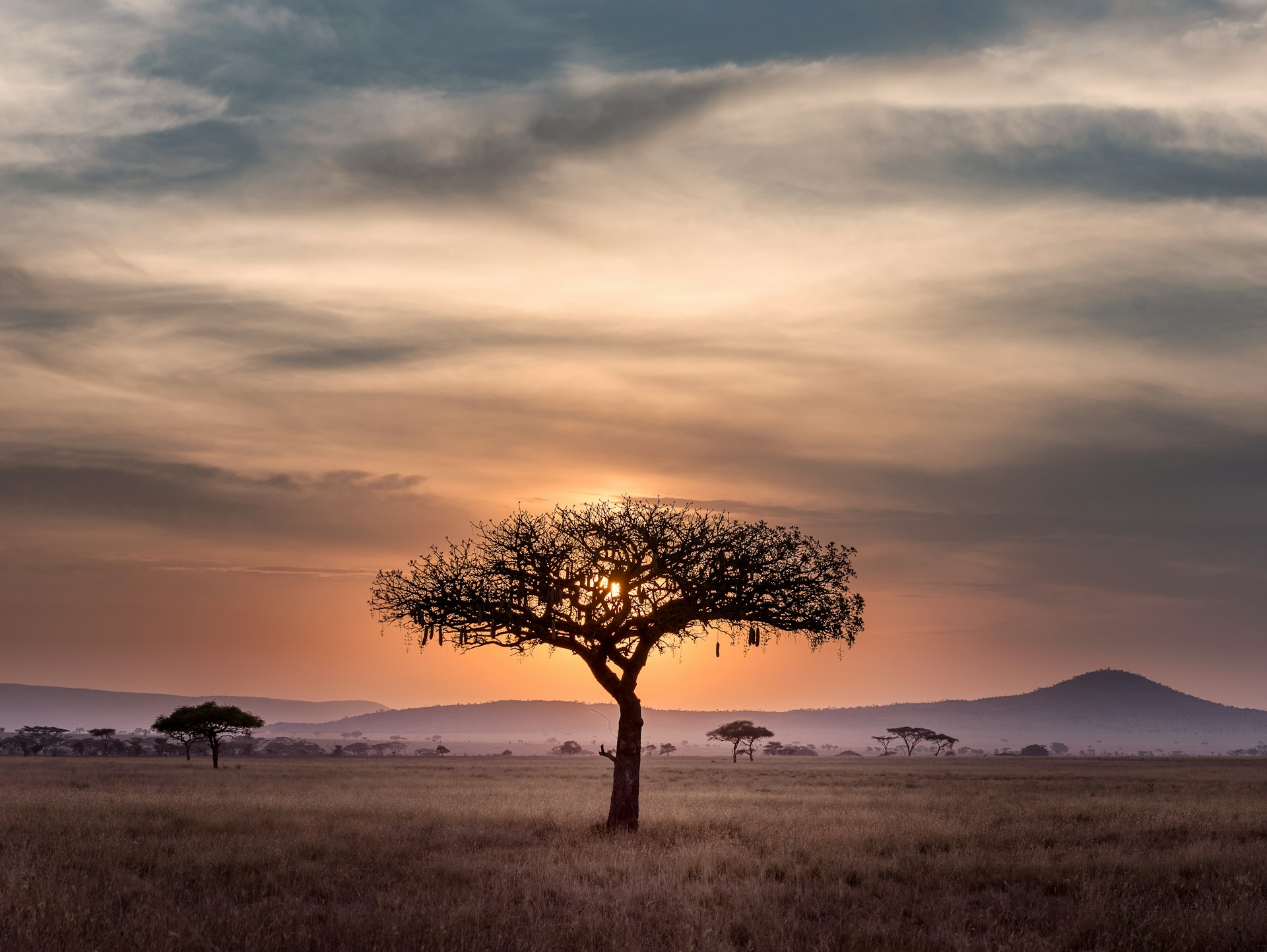 Afrikanische Savanne bei Sonnenuntergang
