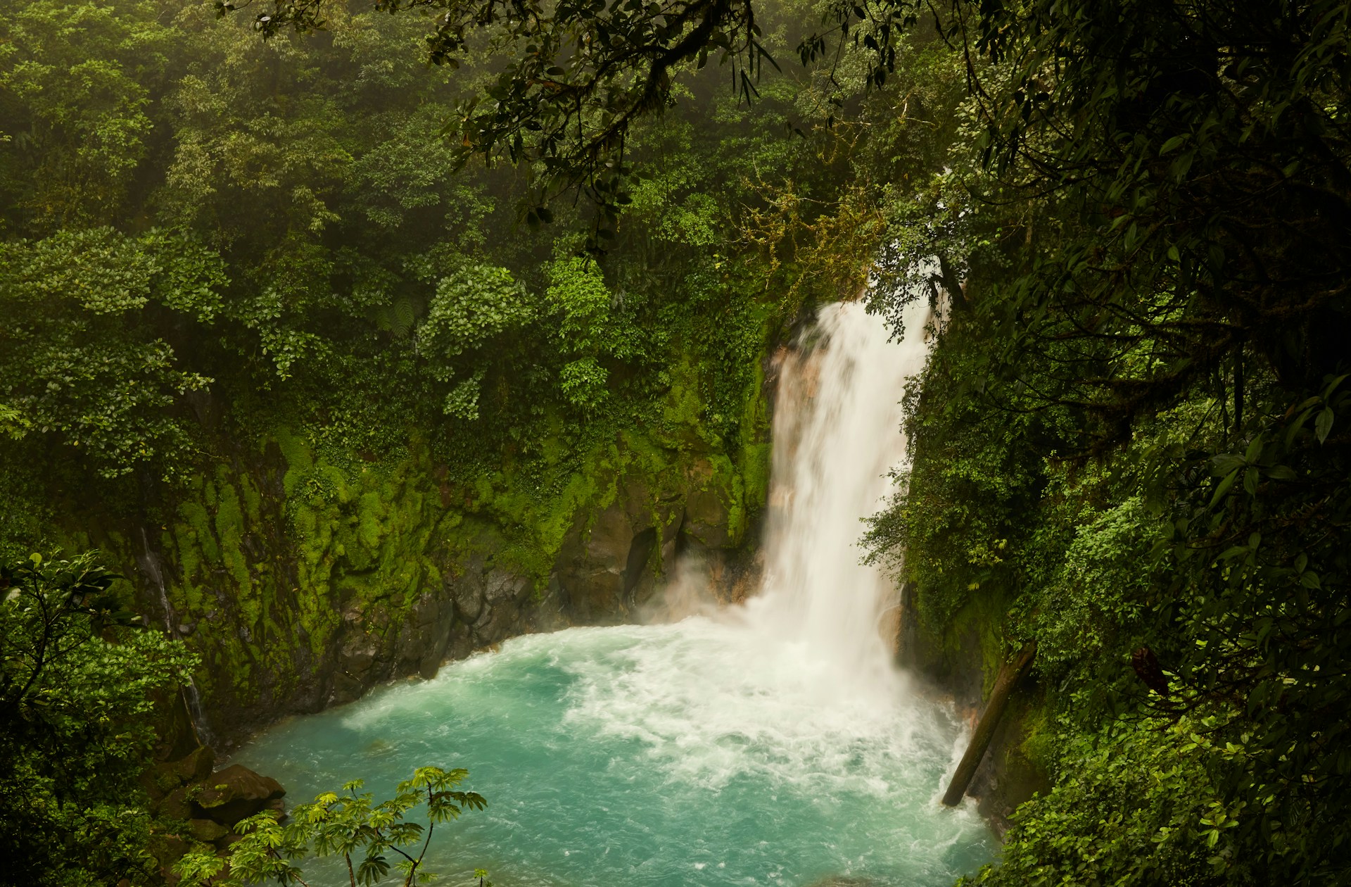 Ein Wasserfall im Regenwald