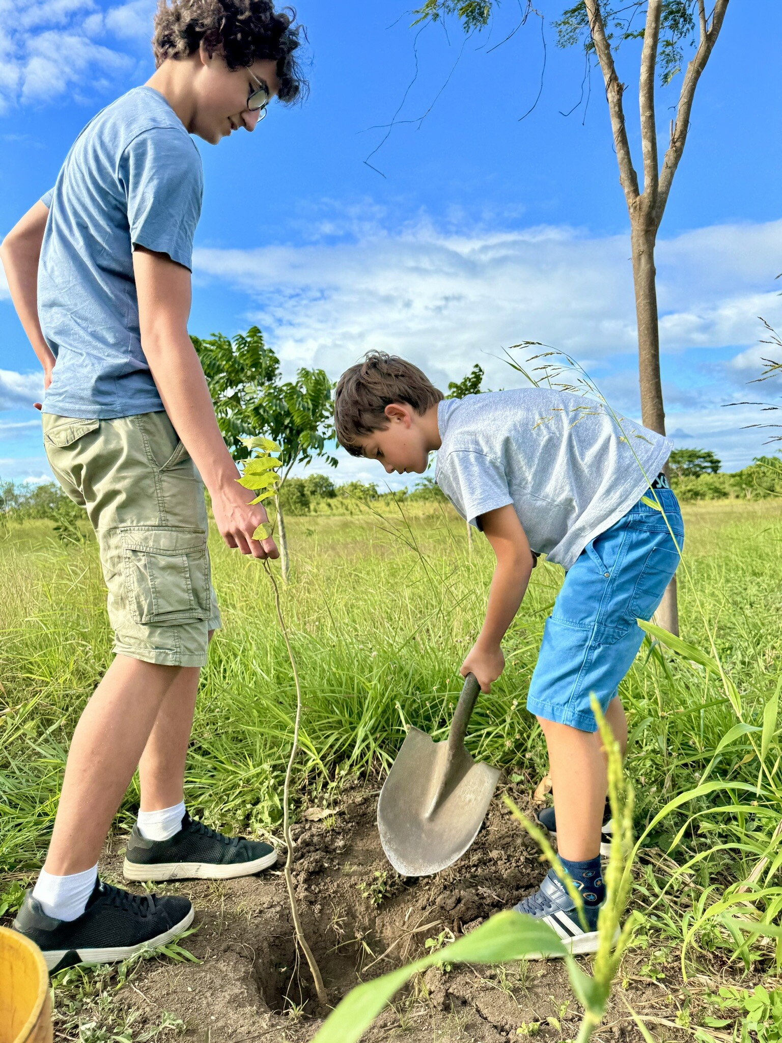 Junge pflanzt einen Baum