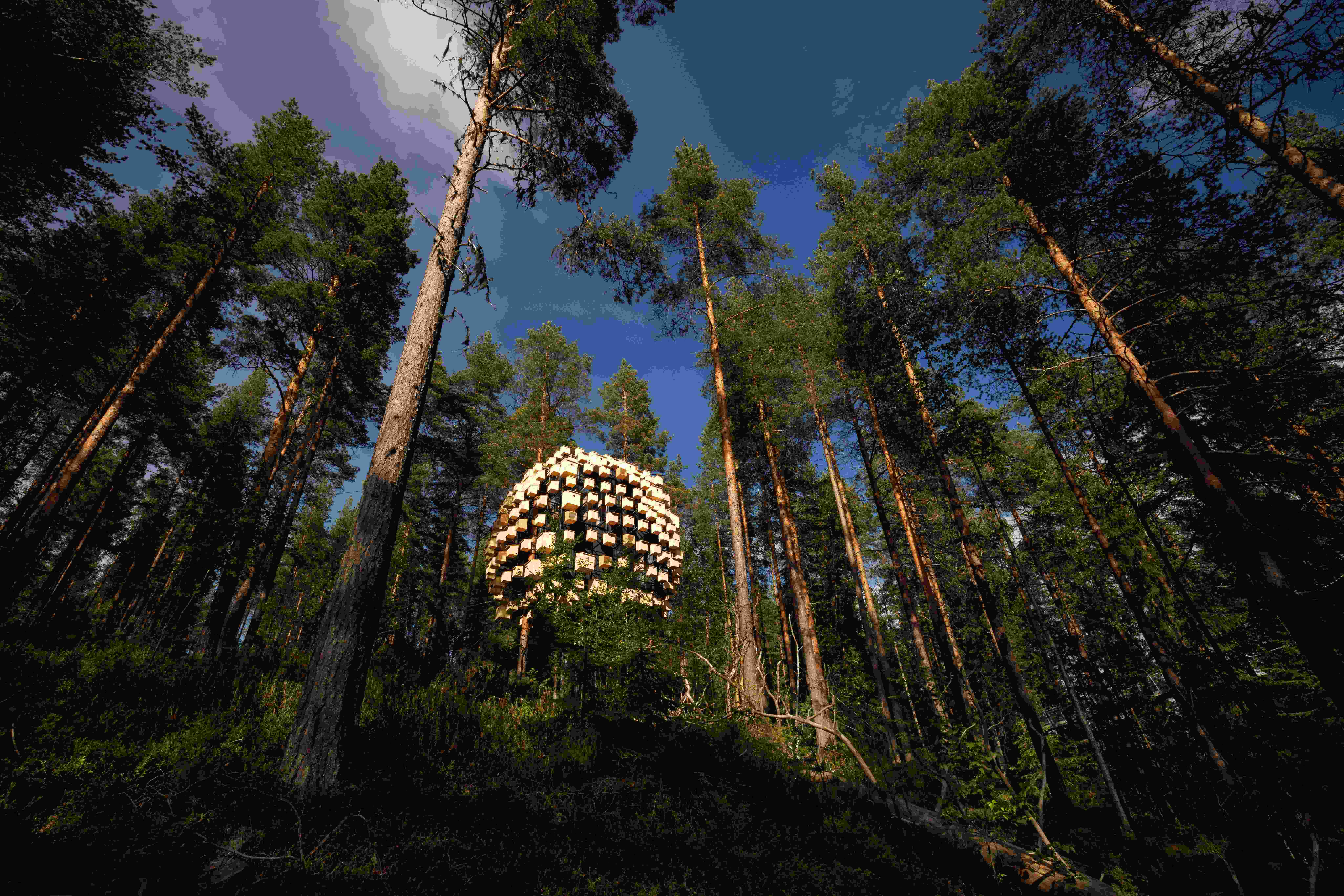 Treehotel biosphere 